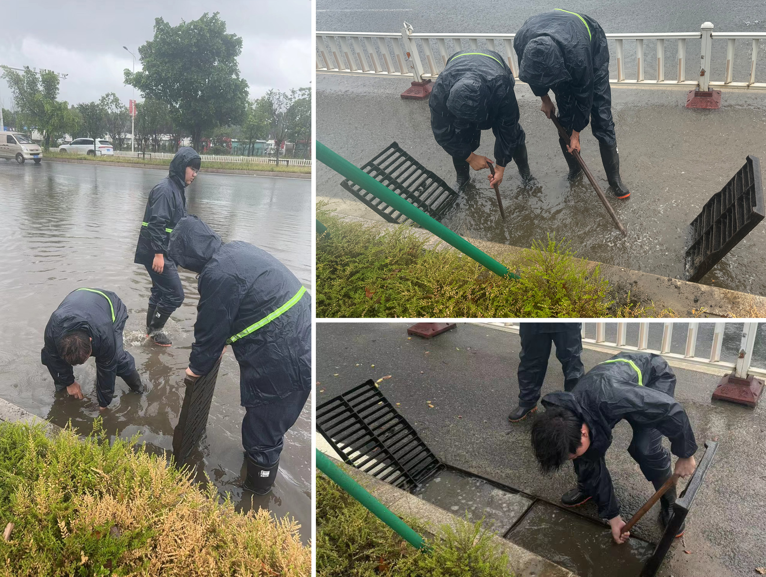 ��ҳ| ����(�й�����)�ٷ���վ