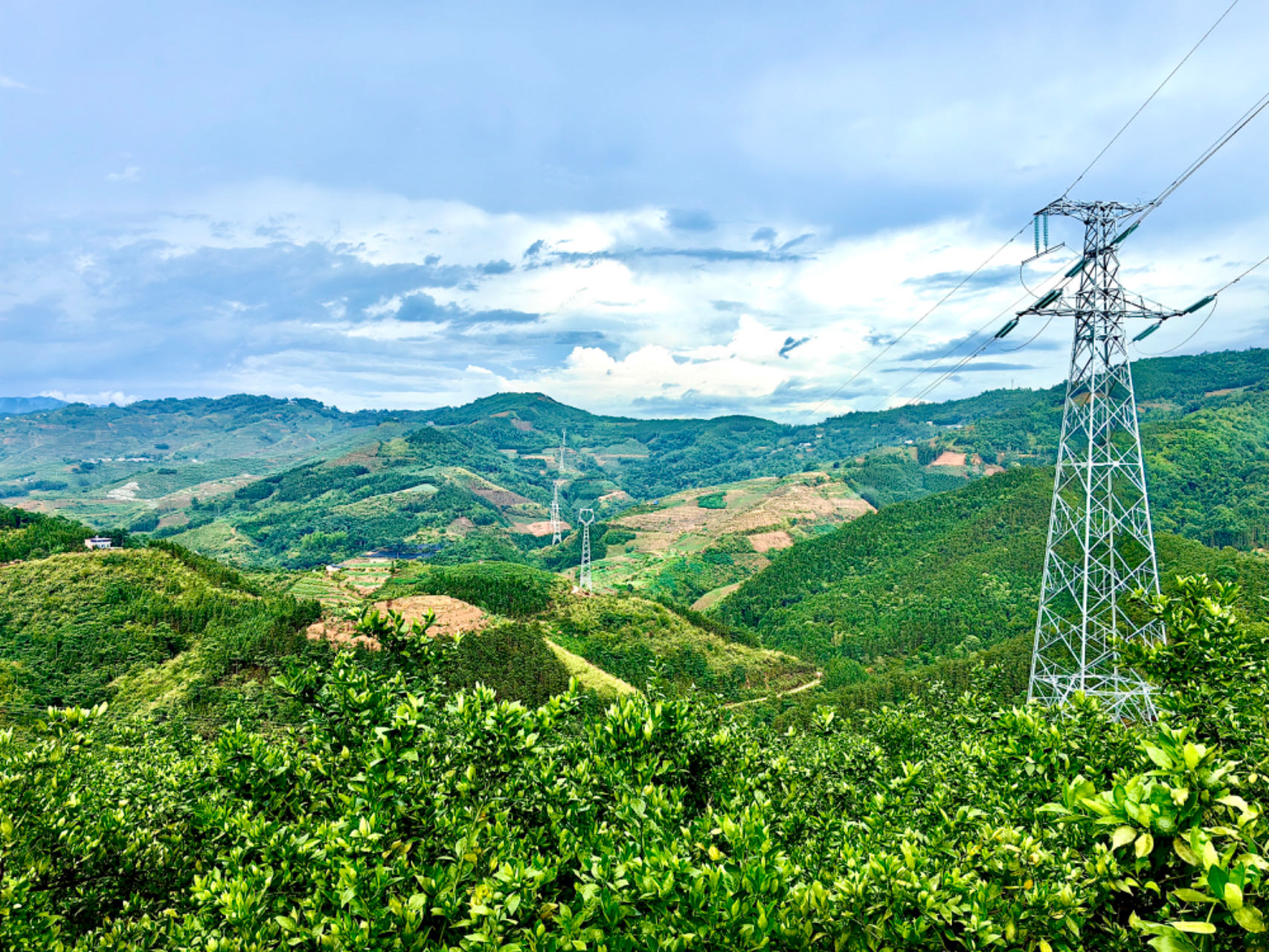 ��ҳ| ����(�й�����)�ٷ���վ